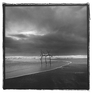 Eros under the Harrow, photo triptych by Kyle Rand